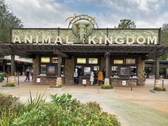 -奥兰多迪士尼动物王国乐园