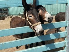 -酷鱼垂钓CLUB(朝阳区博大路店 )