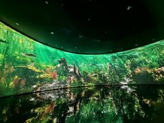 -中国湿地博物馆