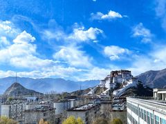 景观位-平措康桑·和牛自助观景餐厅(布达拉宫店)