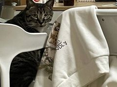 -佳雯宠物医院(四明中路分院)