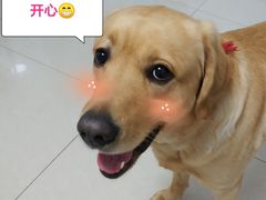 -里兆打面馆