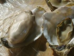 -万松园美食街