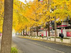 -四川大学(望江校区)