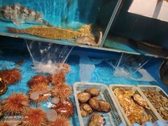 水产区-福匠日本料理(人民路店)