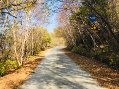 -白草畔自然风景区