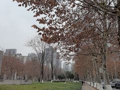 -龙头寺公园