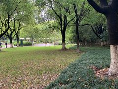 -中央公园(苏州工业园区)