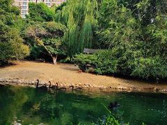 -长白岛森林公园