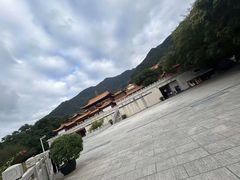 -深圳仙湖植物园