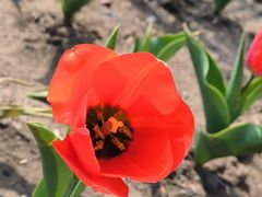 -长春公园(普阳街道)