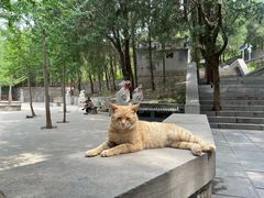 -四门塔风景区