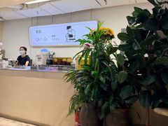 -狐狸和向日葵(北京路店)