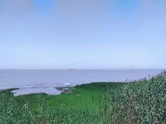 -上海吴淞炮台湾国家湿地公园