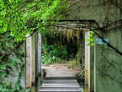 -燕晗山郊野公园