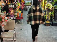 -大自然花鸟鱼虫市场