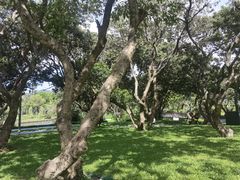 -四海公园(南山区)