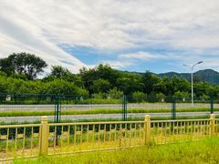 -香山公园