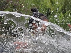 -溧阳天目湖天沐温泉