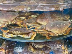 -渔中舟海鲜大排档(普陀沈家门店)