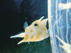 -西安曲江海洋极地公园