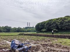 -八卦田遗址公园
