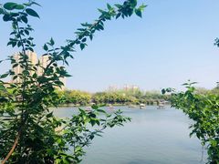 -三圣花乡旅游区