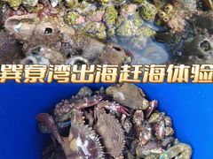 -巽寮湾