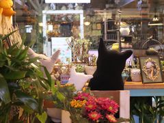 -Kitchen·Y洋厨房西餐厅(王府壹号店)