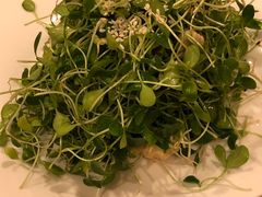 香椿苗拌桃仁-秦记香辣蟹(松榆里店)