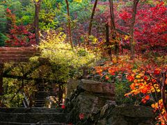 -九如山休闲旅游度假区