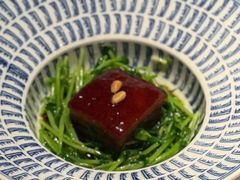-觀芷隐轩