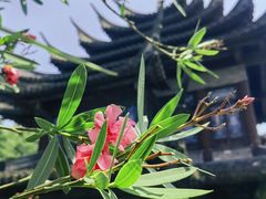 -韩湘水博园