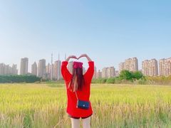 -花溪公园