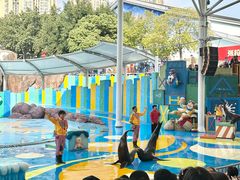 -海合安成都极地海洋公园