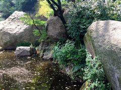 -鲁山国家森林公园