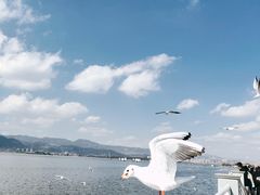 -海埂大坝
