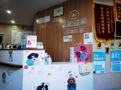 -谐和益家动物医院·免疫绝育·血液透析·宠保定点医院(高新伊藤分院)