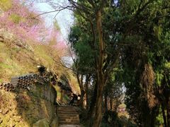 -天台山赤城山景区