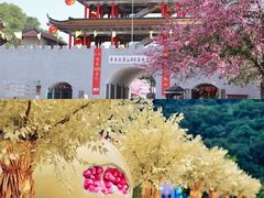-东莞观音山旅游风景区