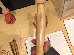 -冰岛阴茎博物馆