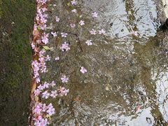 -鄣山大峡谷