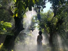 -Chom Cafe and Restaurant