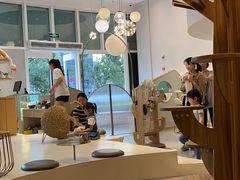 -飞行喵MR PILOT|猫舍·猫咖(静安大融城店)