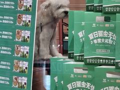 -FAELING PETS美天灵宠物(合生汇店)