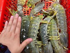 -79号渔船海鲜饭店(华强北店)