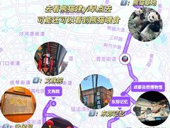 -成都大熊猫繁育研究基地
