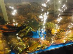 -蟹之国·精品蟹料理(极地店)