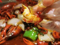 -杨氏青龙虾·羊蝎子(金盛路总店)