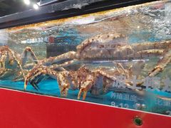 水产区-盒马鲜生(曜一城店)